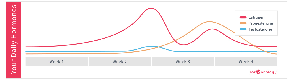 Hormone Levels Cycle Chart